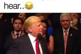   Siñorita Trump.        Fun