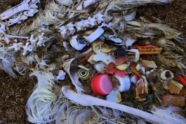 به مناسبت روز جهانی بدون کیسه پلاستیکی - تصاویر زشتی از مستند سیاره اقیانوس