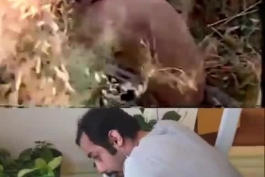 نوستالژی؛تیتراژ برنامه سیمای نوجوان در دو نمای متفاوت