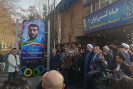 کشتی-کشتی ایران-Wrestling-iran Wrestling