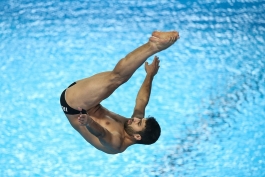 فدراسیون شیرجه-diving federation