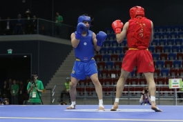 فدراسیون ووشو-ایران-iran wushu federation