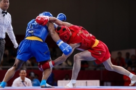 فدراسیون ووشو-ایران-iran wushu federation