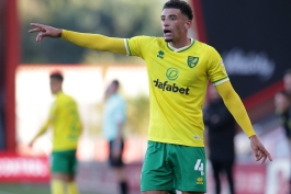 نوریچ/مدافع انگلیسی/Norwich/English Defender