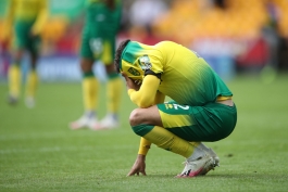 نوریچ سیتی / Norwich City / سقوط به لیگ برتر انگلیس / Premier League