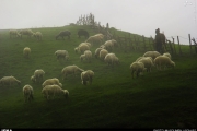 طبیعت خیره کننده سوباتان 