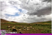 همنشینی با طبیعت، همقدم با مردم روستای کتک [عکس]