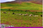 همنشینی با طبیعت، همقدم با مردم روستای کتک [عکس]