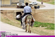 همنشینی با طبیعت، همقدم با مردم روستای کتک [عکس]