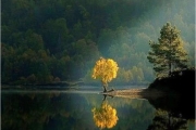 Mirrored Nature - Surreal Majestic