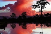 Mirrored Nature - Surreal Majestic