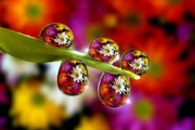 Beautiful Macro Photography