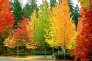  Rainbows of Fall ~ Beautiful.. [10 Attachments]
