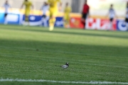 گزارش تصویری؛ نفت تهران 1 - 0 صبای قم