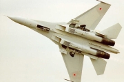 su 30