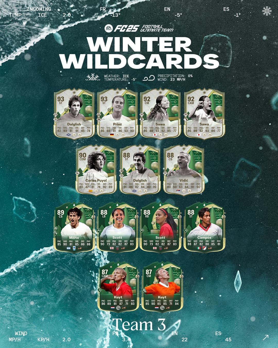 تیم سوم Winter Wildcards 