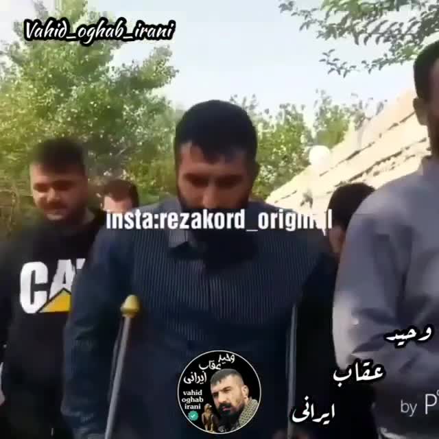 عقاب با تیر میگیرن الاغ با طناب طرفداری
